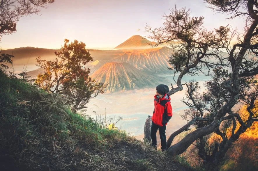 Sewa Jeep Bromo Malang