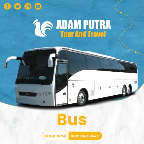 Armada bus paket wisata rombongan Adam Putra Travel Malang