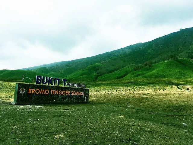 Lanskap Bukit Teletubbies yang hijau dan luas di kawasan paket wisata Bromo