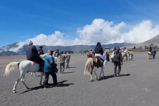 Perbandingan Harga Paket Wisata Bromo: Backpacker vs. Private Trip