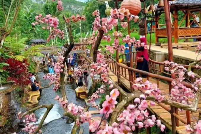 Umbulan Tanaka: Malang Rasa Jepang, Destinasi Instagramable & Favorit Prewedding