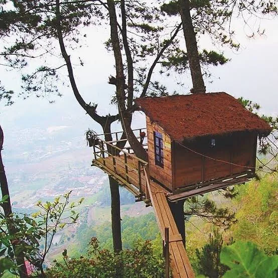 Pengalaman menginap di rumah pohon Omah Kayu Paralayang Batu, sebuah pengiinapan dengan pemandangan kota.
