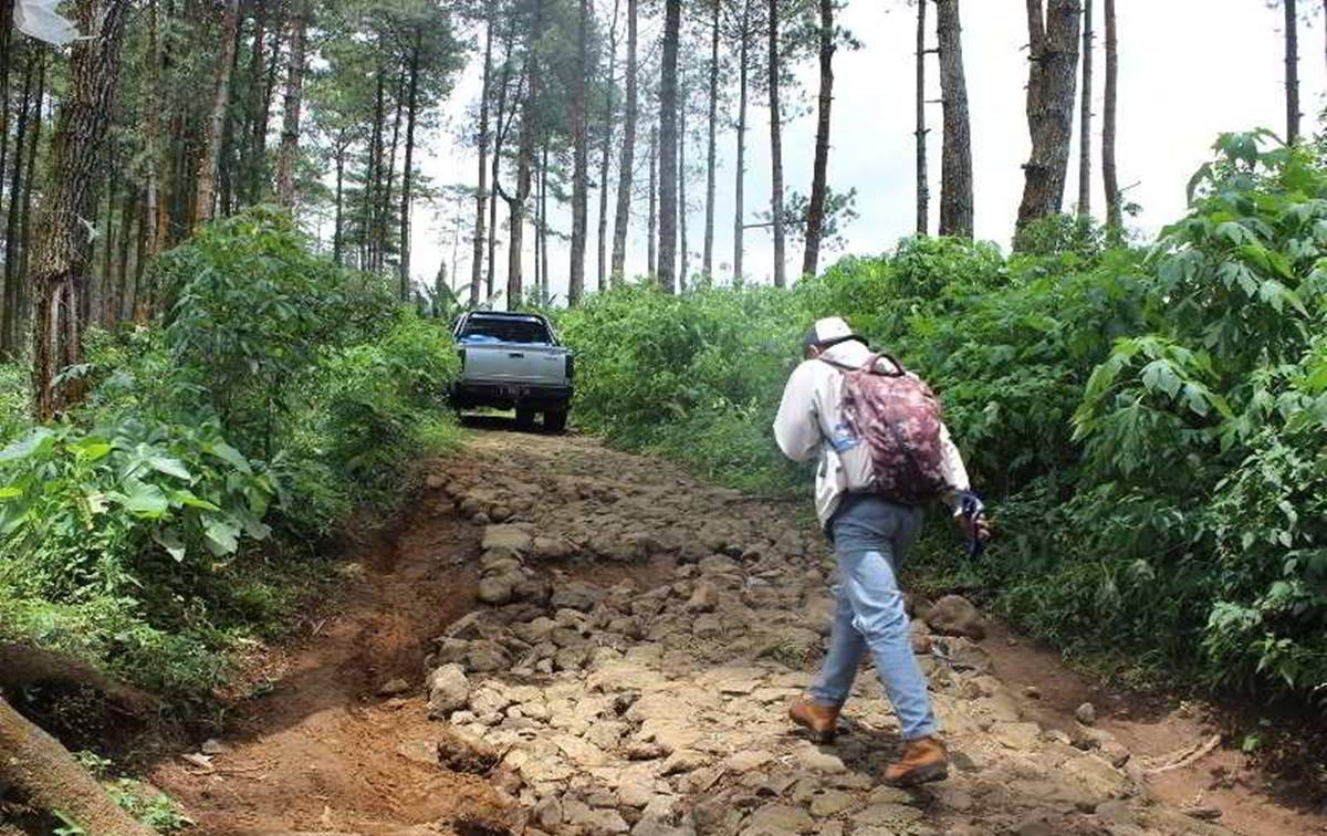 Bukit Budug Asu Singosari Malang – Rute, Camping, Sunrise & Tips Lengkap