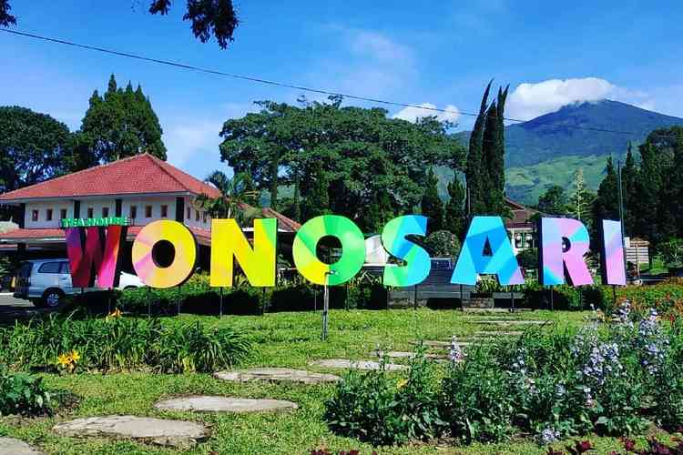 Sejuk & Instagramable! Kebun Teh Wonosari Jadi Favorit Liburan di Lawang