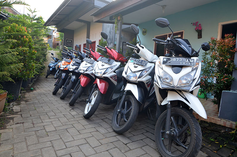 Motor sewaan Malang siap digunakan untuk wisata kuliner keliling kota